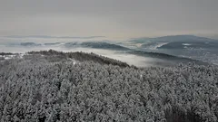 Snehom pokryté stromy v lese z vtáčej perspektívy za denného svetla